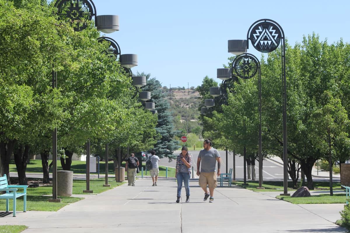 Students walking up a tree lined sidewalk